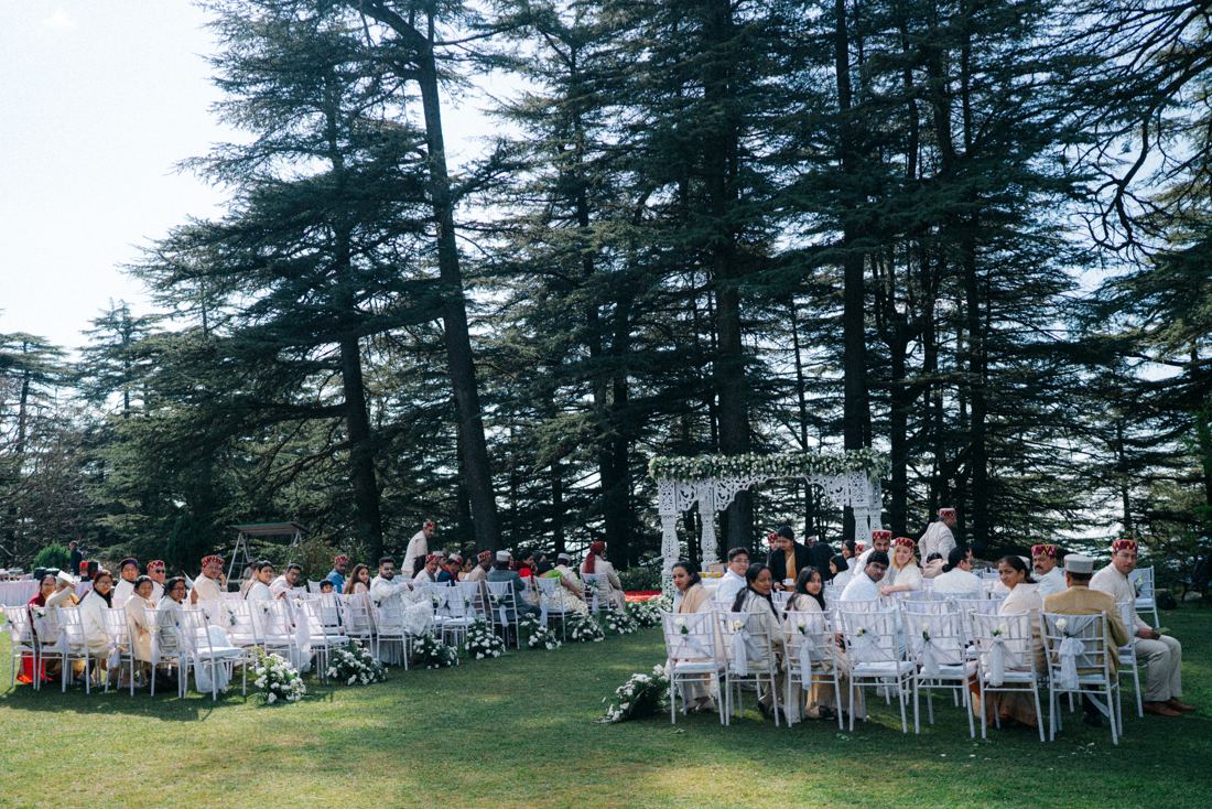 Chail, in the pines
