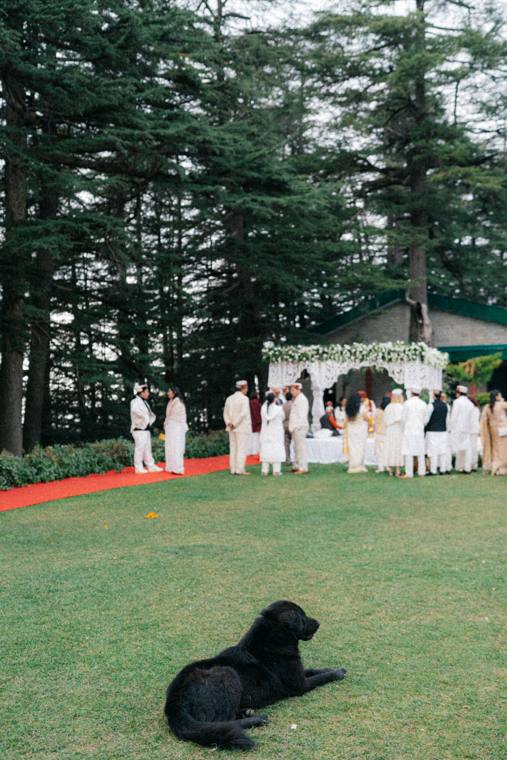 A moment from the Malvi & Chandrakant wedding